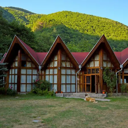 招待所 Cabana Retezat