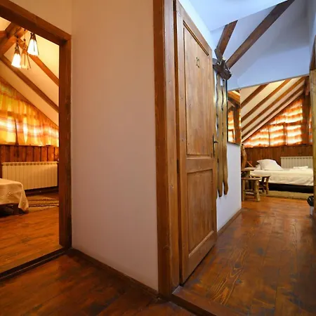 招待所 Cabana Retezat Rîu de Mori
