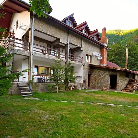 Cabana Retezat Rîu de Mori