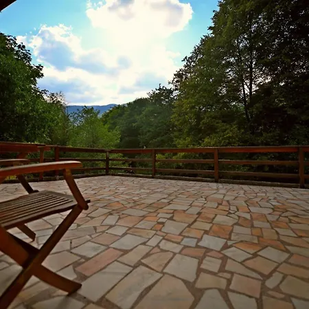 Cabana Retezat Rîu de Mori