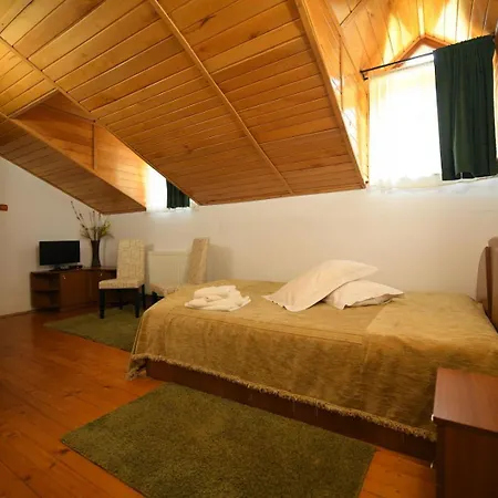 Cabana Retezat Rîu de Mori