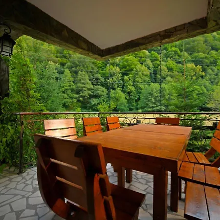Cabana Retezat Rîu de Mori