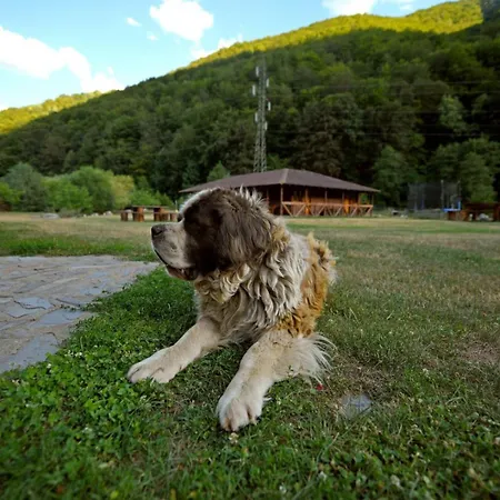 Cabana Retezat 3* Rîu de Mori