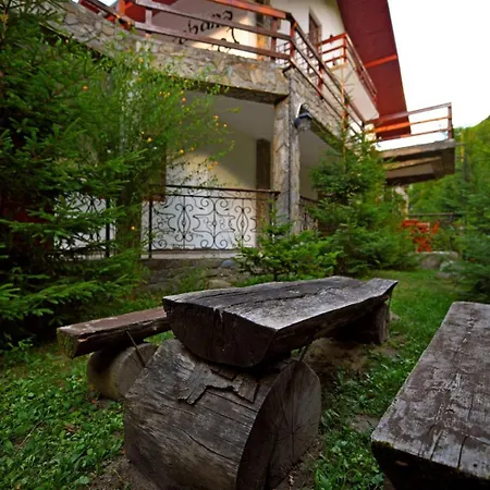 Cabana Retezat Rîu de Mori